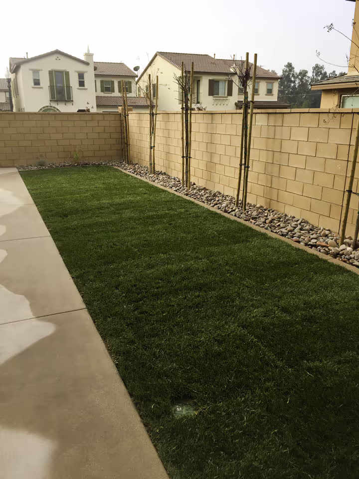 Residential Concrete Work and Landscape Project — photo 2